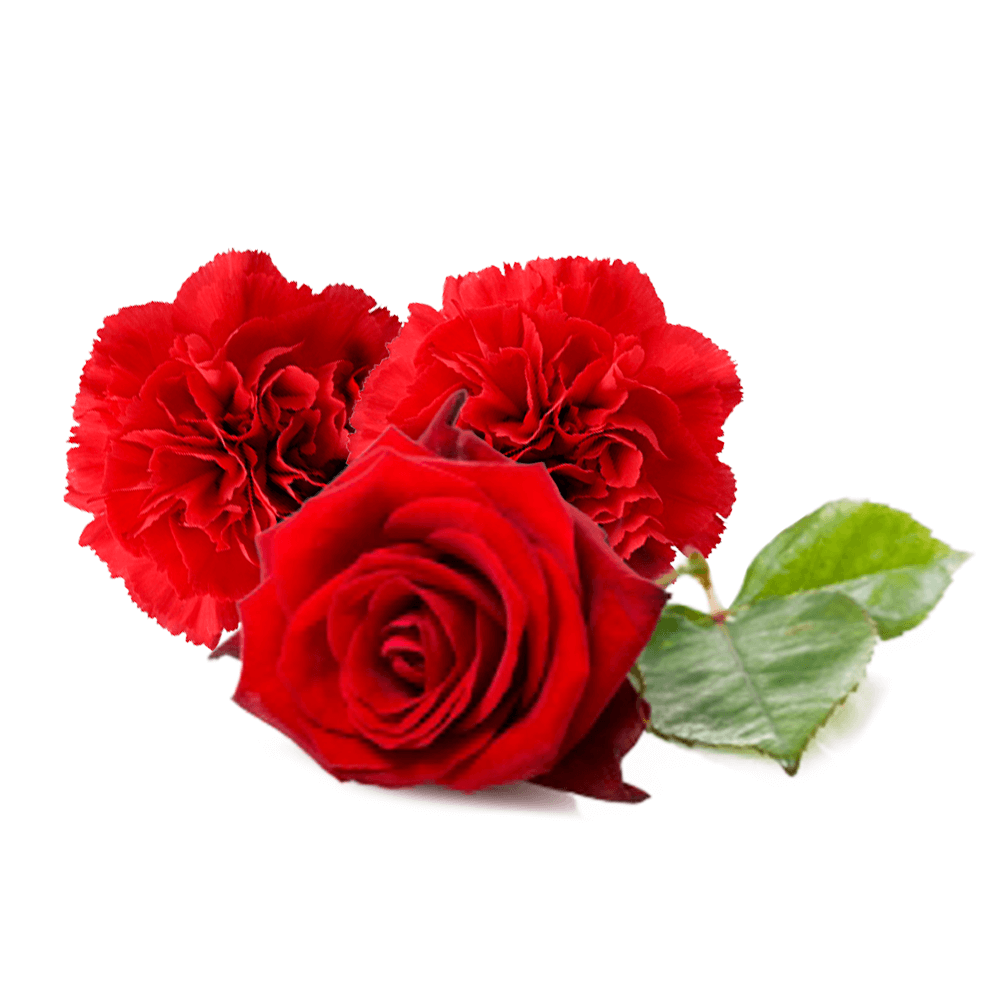 ALBIT para Flores