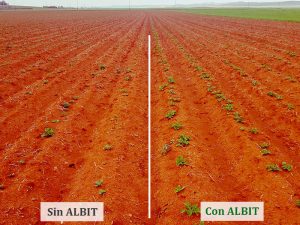 ALBIT para Patata
