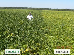 ALBIT para Legumbres