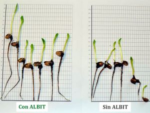 ALBIT para Legumbres