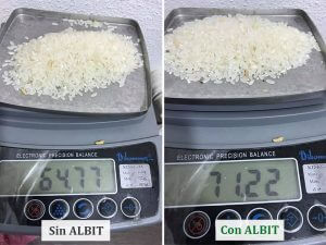 ALBIT para Arroz