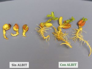 ALBIT para Cacahuate