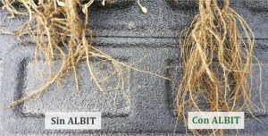 ALBIT para Cacahuate
