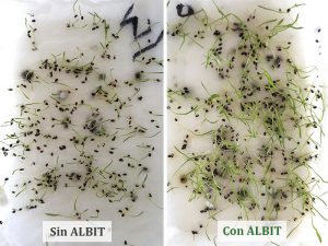 ALBIT para Césped