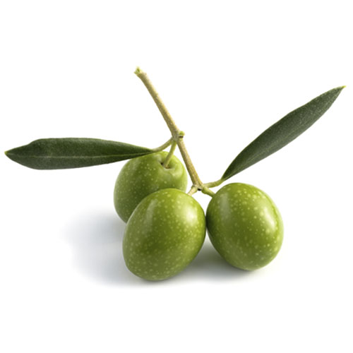 ALBIT para olivar