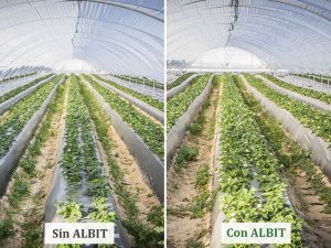ALBIT para Fresa