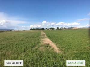 ALBIT para Alfalfa