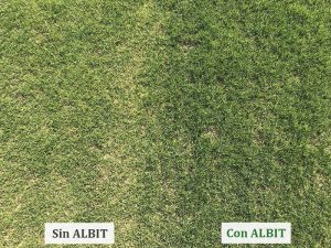ALBIT para Césped
