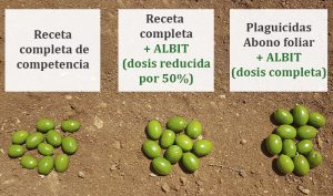 Mejor absorción de los nutrientes